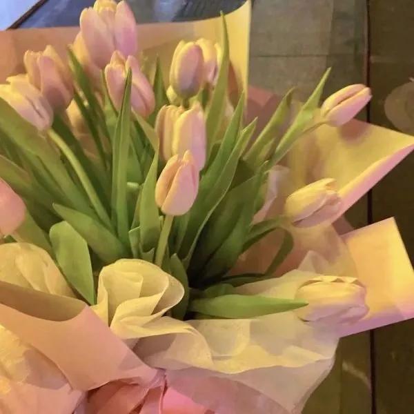 郁金香的花语文案图,郁金香的花语搞笑