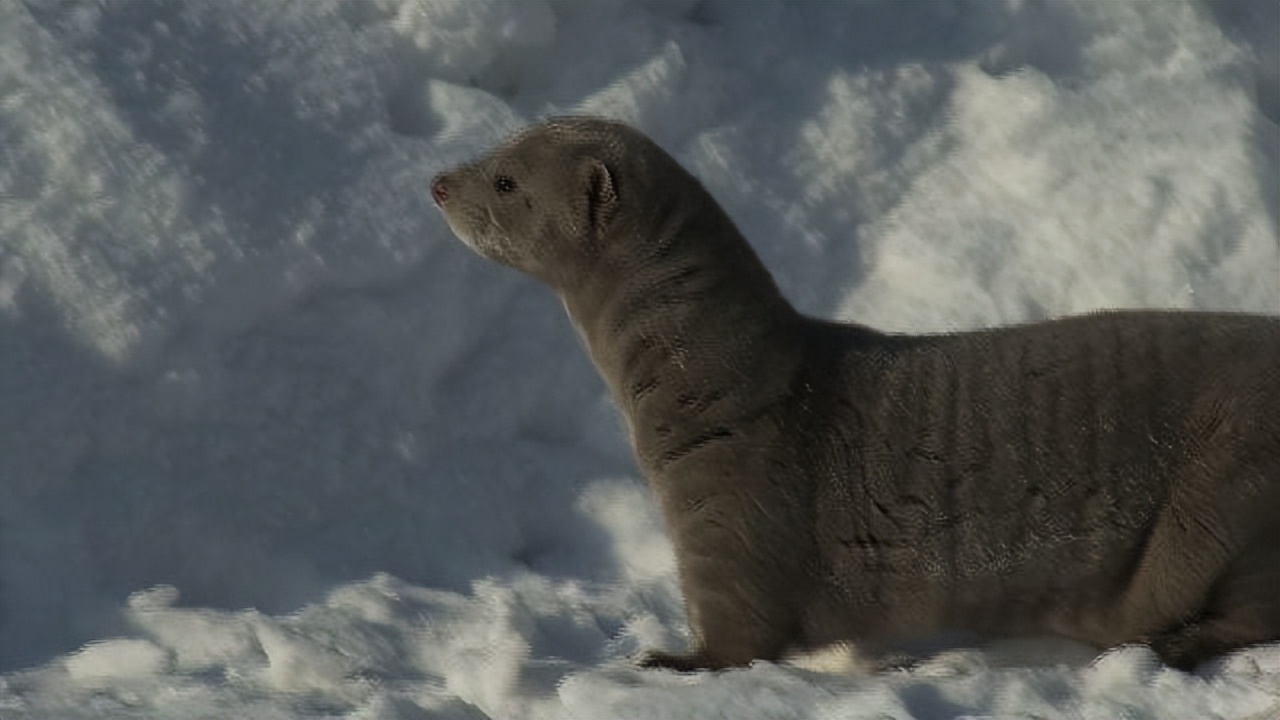 小伙创业年亏40万后逆袭,小伙创业亏损600万