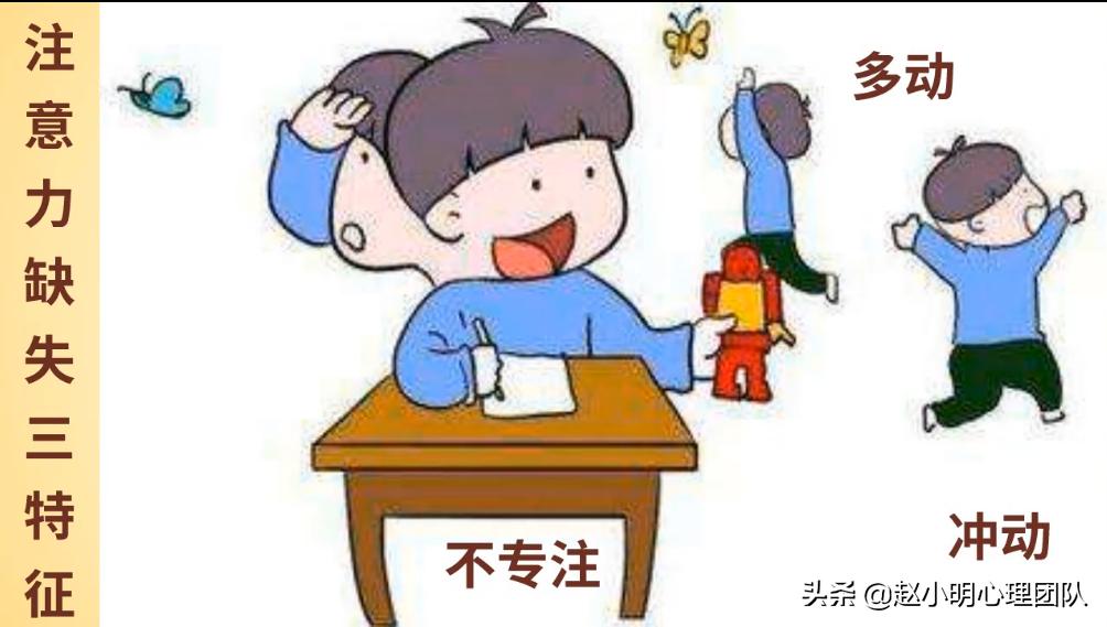 赵小明谈孩子潜力,赵小明自卑化解方法