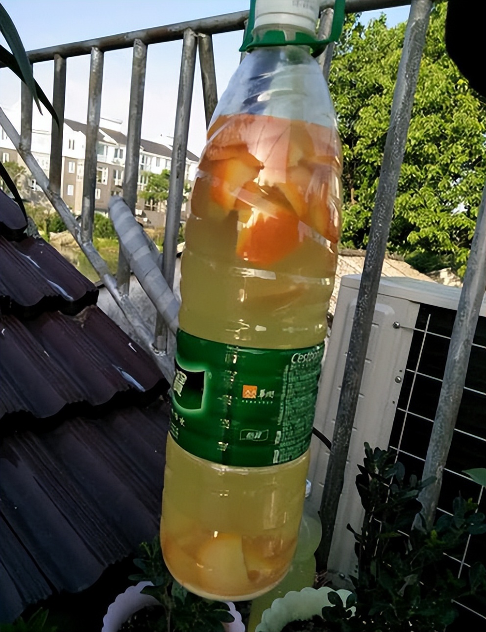 家庭盆栽喜酸的植物,盆栽土壤变酸最快的方法