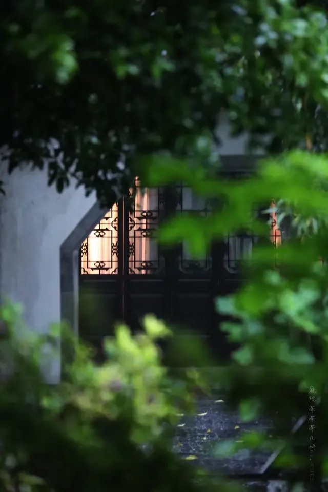 散文：繁花丛中坐，淡雅一闲人