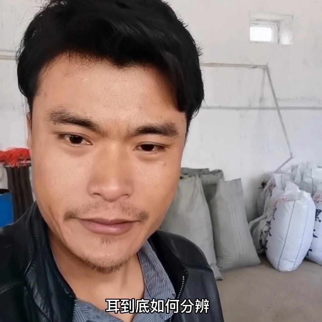 黑木耳怎么辨别好坏,如何鉴别黑木耳真假