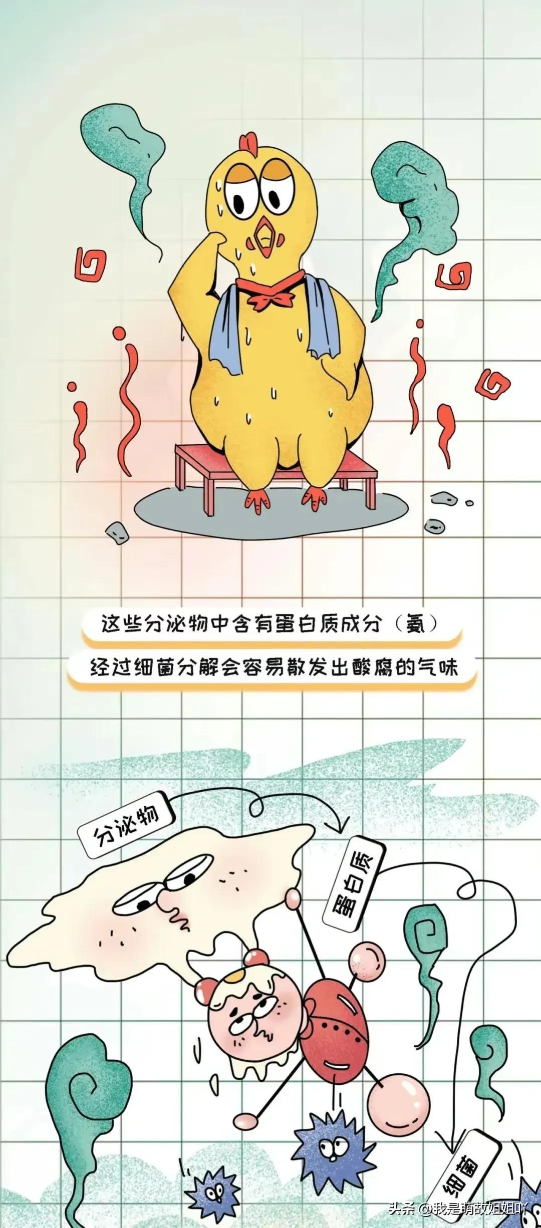 为什么总觉得男朋友臭臭的,为什么会觉得男友臭臭的