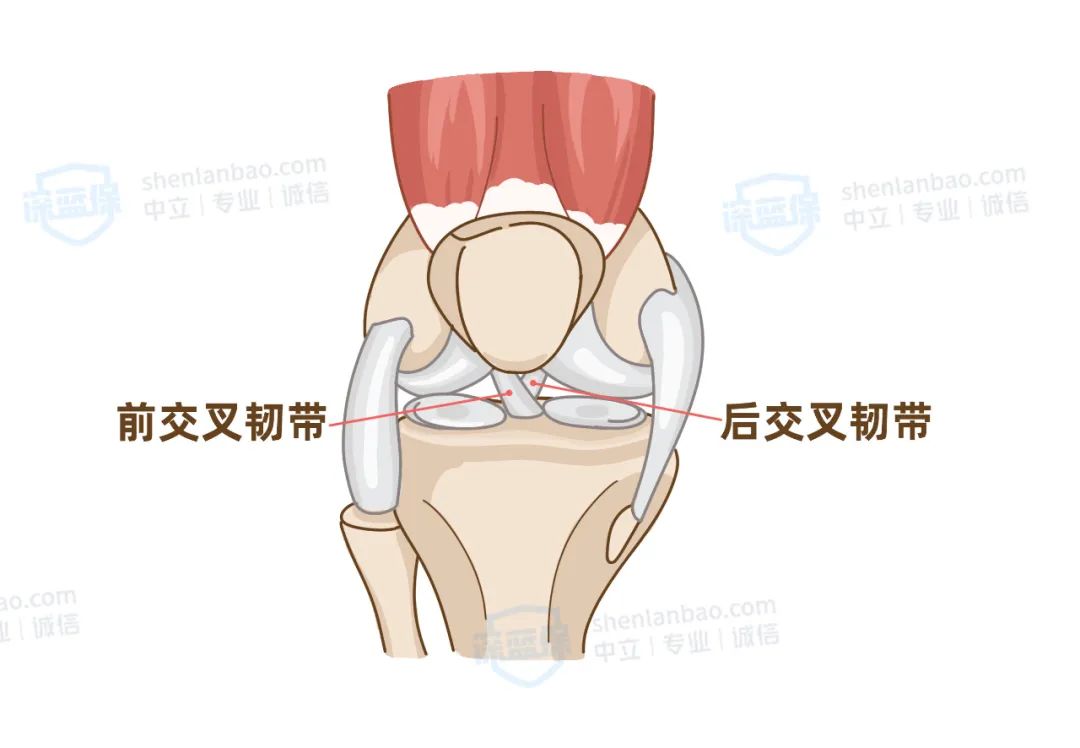 退休职工意外摔伤医保可以报销吗,手指头意外断了可以用医保报销吗