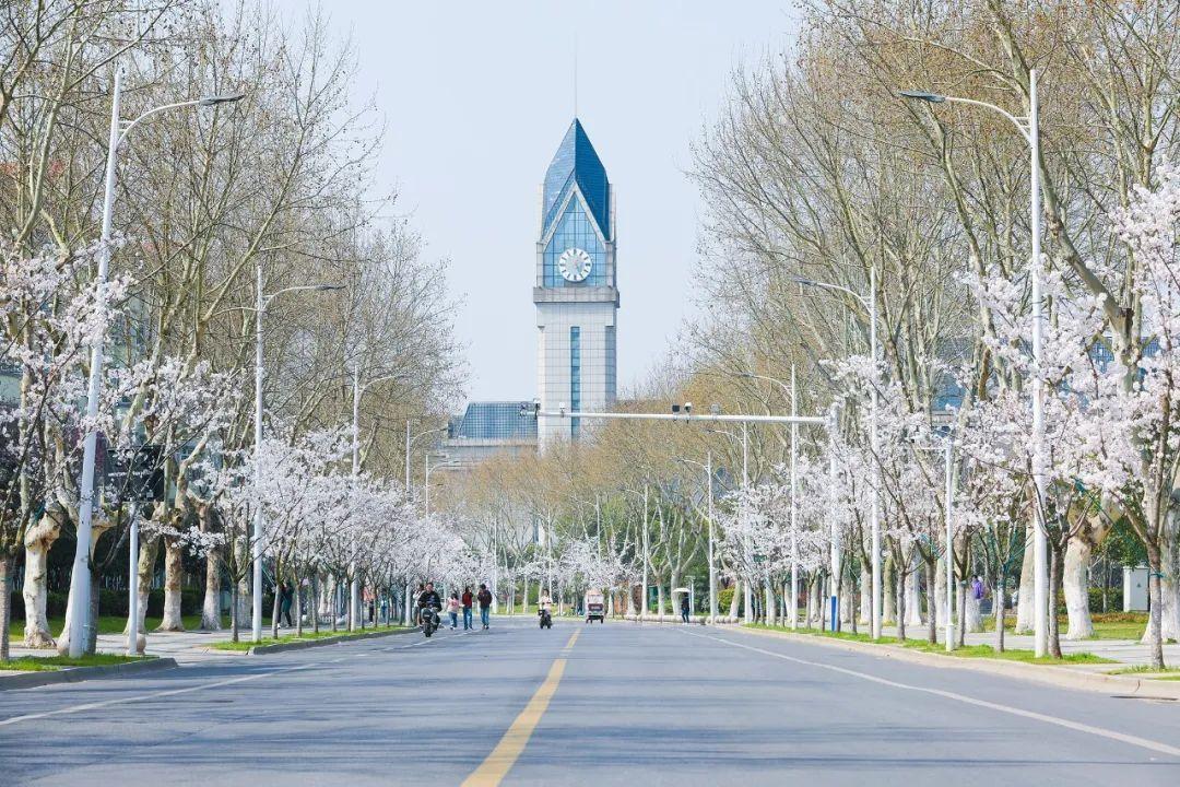 张雪峰提到的南京信息工程大学，除了气象学专业其他性价比也很高