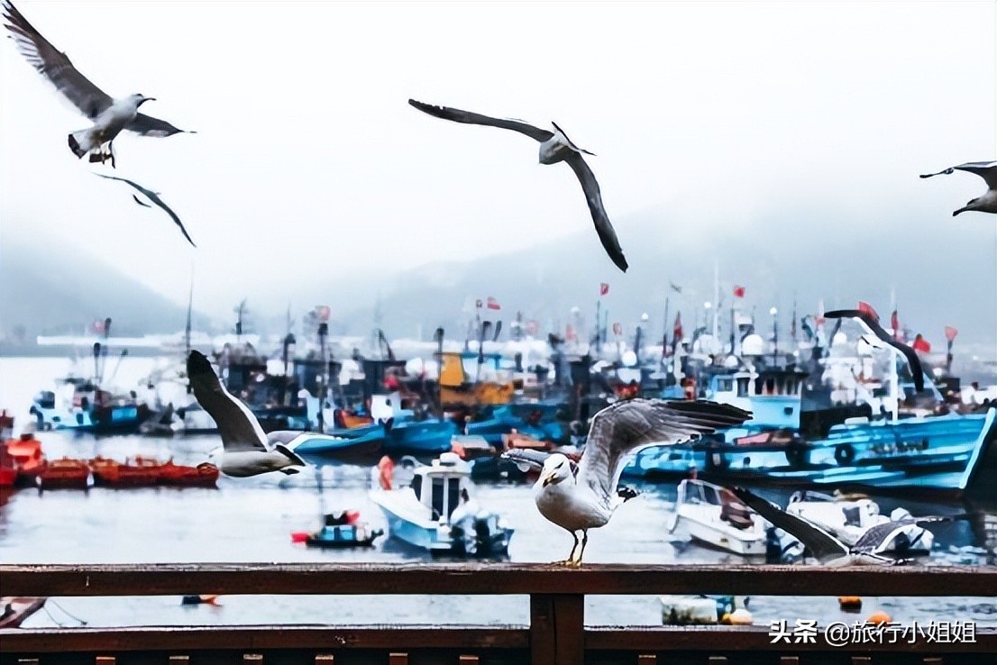 夏日海边浪漫迷人,滨城风光秀丽浪漫气息爆表