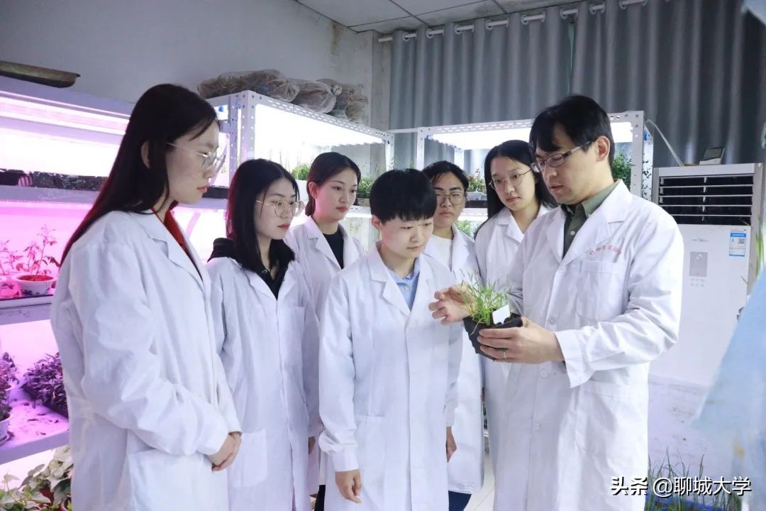 4个班考研率超70%!半数以上被名校录取!这是什么“神仙学院”?