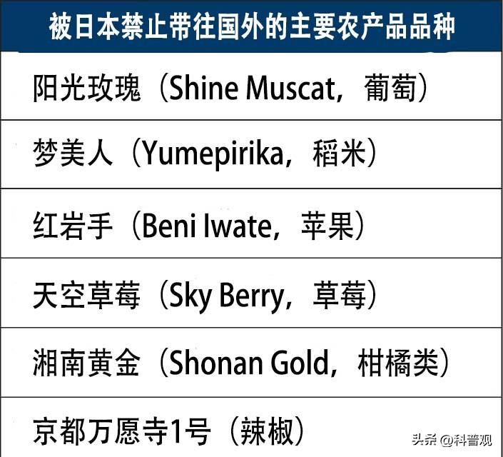 日本垄断中国市场百分之多少,日本垄断的西兰花