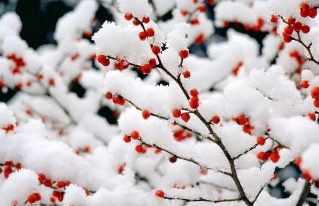 世界上最遥远的距离就是阴阳相隔,世界上最遥远的距离却是近在咫尺