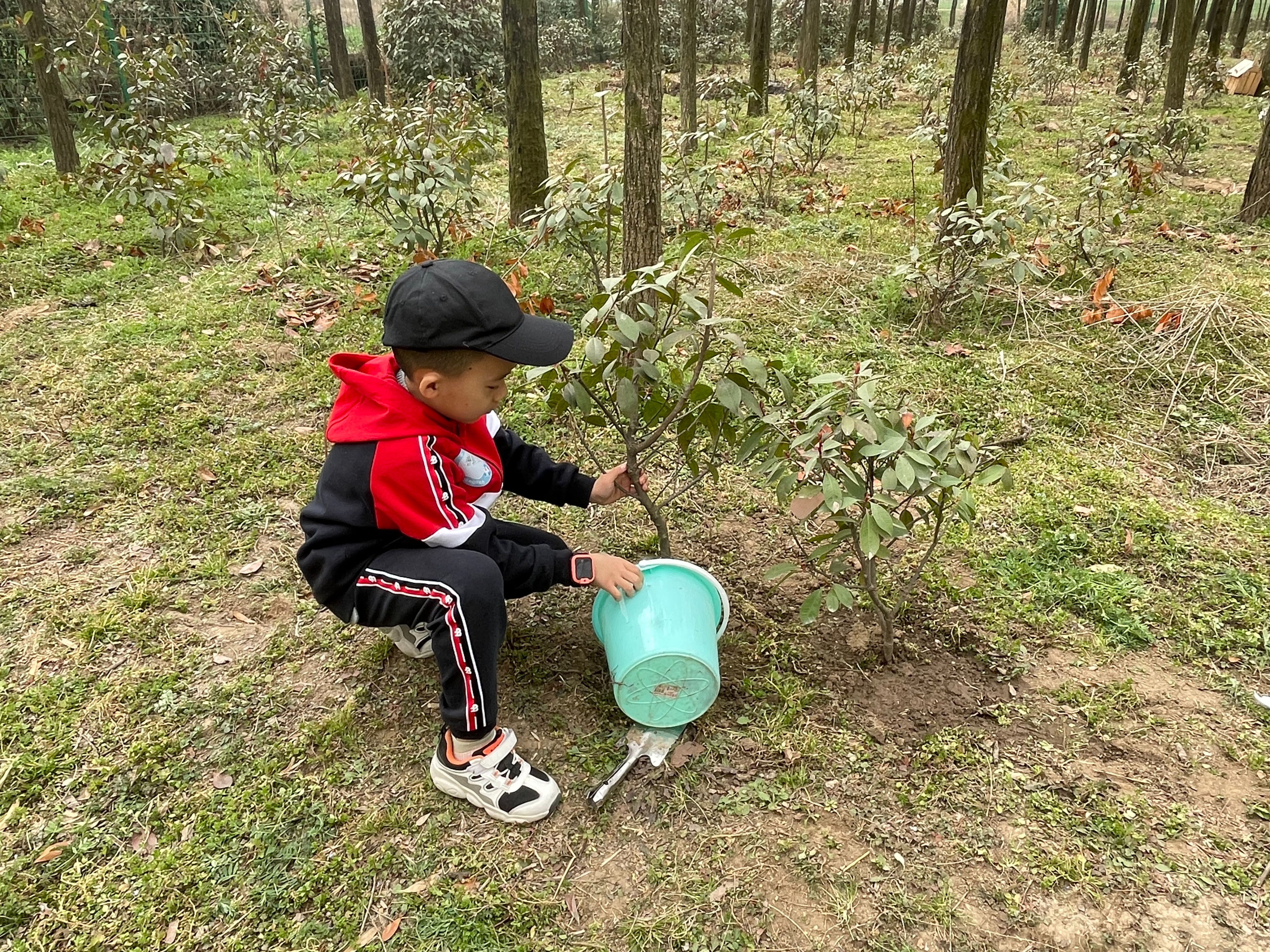 植树节iEnglish双语社会实践系列活动在西安成功举办