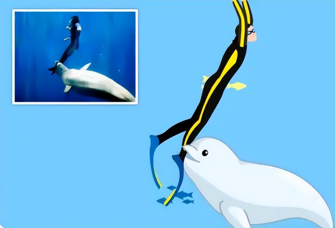 母猴怀孕男饲养员险些背黑锅,日本独居5年母猴产下双胞胎