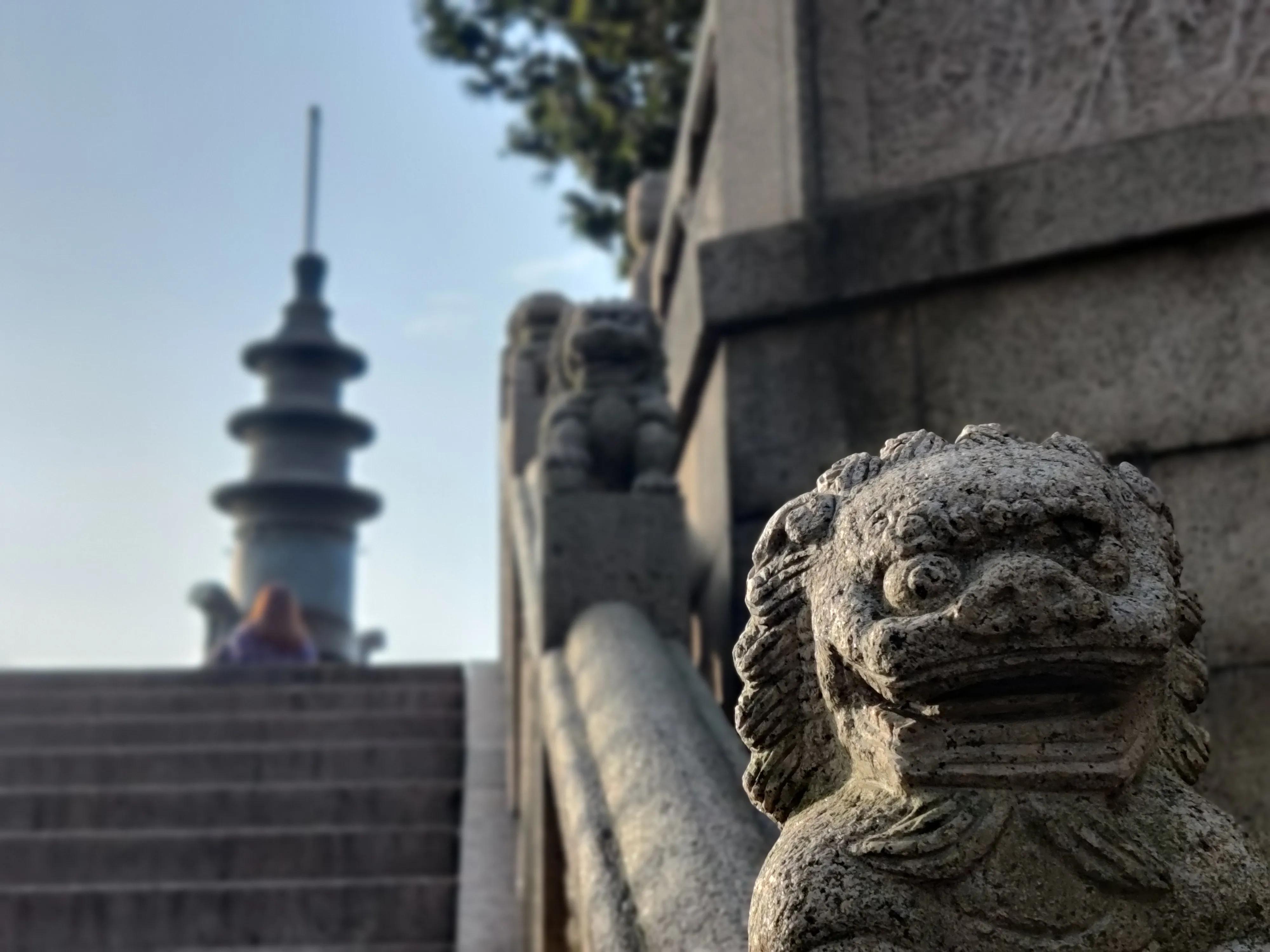 致青春的你韩剧主题曲,致青春的你原来还在这里主题曲