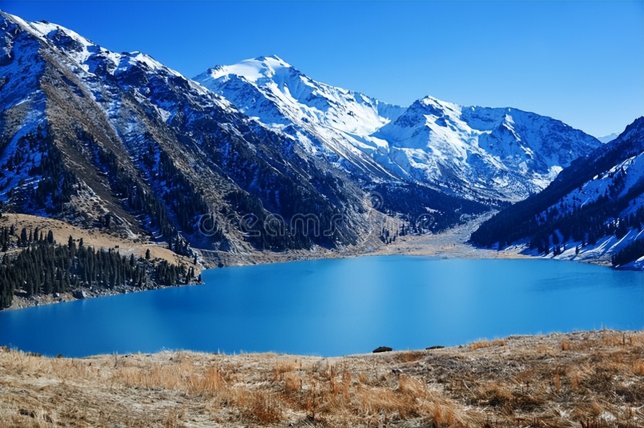 国际快递申报价怎么填写 (国际快递货值标准)