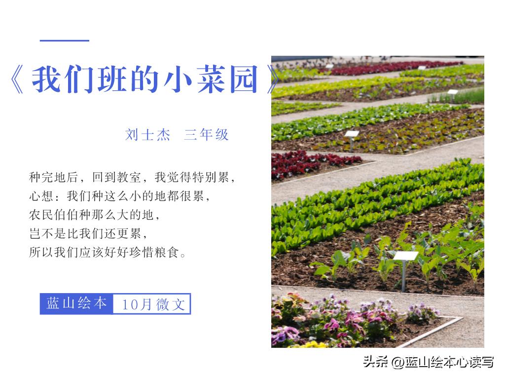 精彩生活，文字守护：蓝山绘本2022年10月微文月赛作品展示