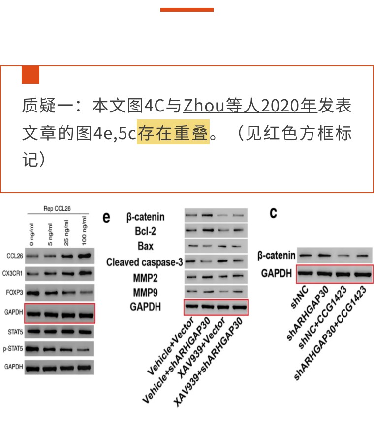 上海市第八人民医院论文,同济医院论文被撤稿