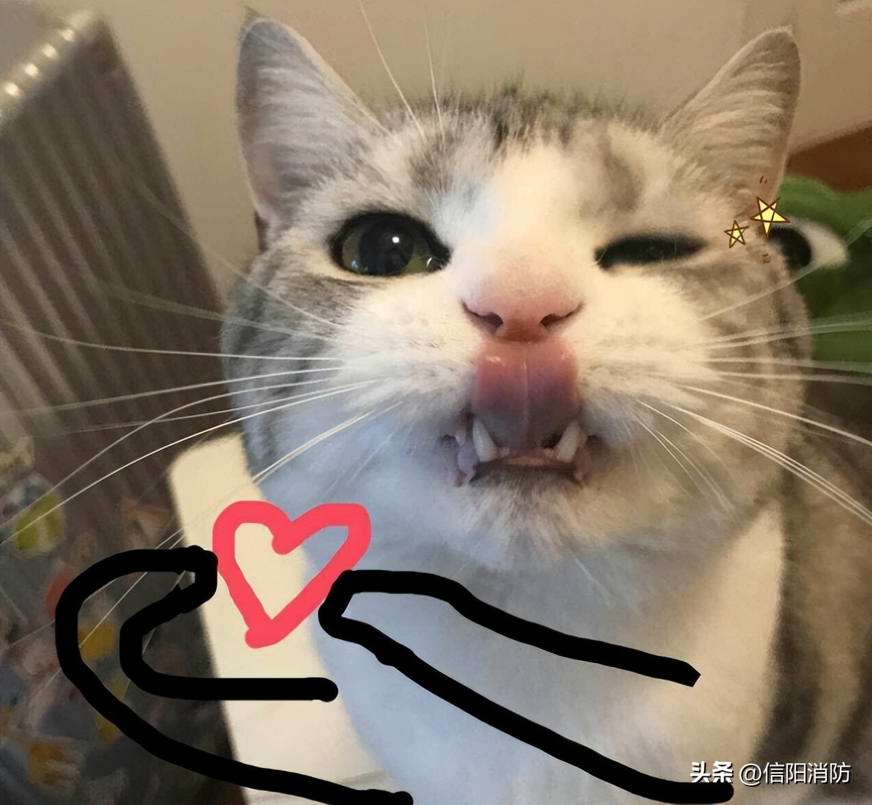 煤气软管爆炸怎么解决,煤气罐软管爆了