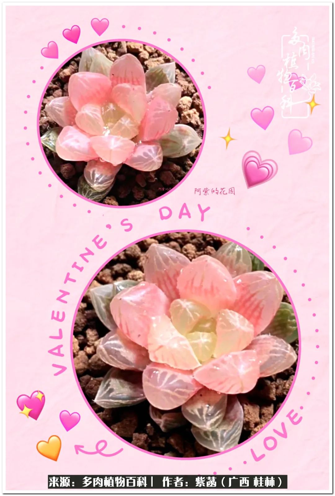 酷暑里的关爱，如十二卷般透亮绵长