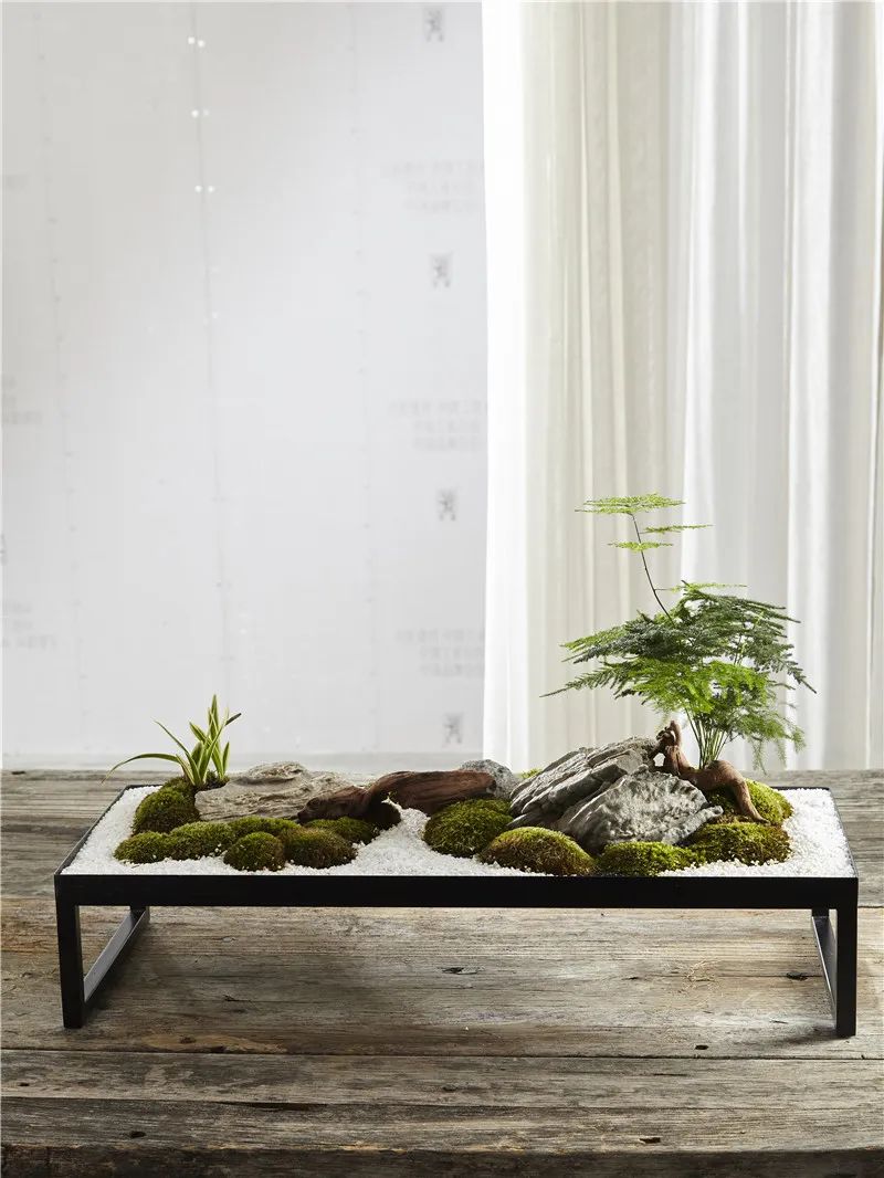 从小花店到年入900万元园艺名企，看温州绿趣的两次转型