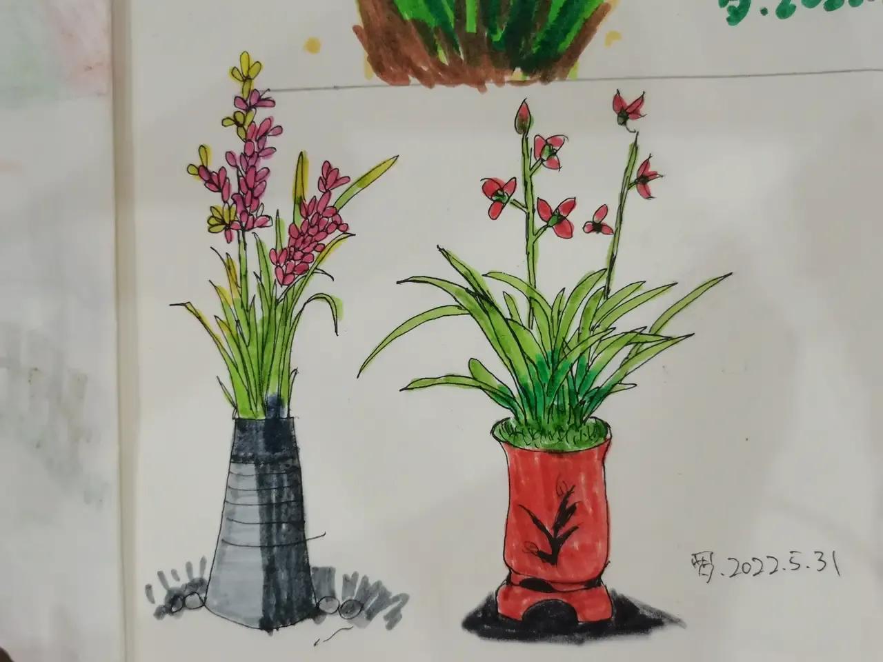 自学画画几年才有成果,自学画画一星期