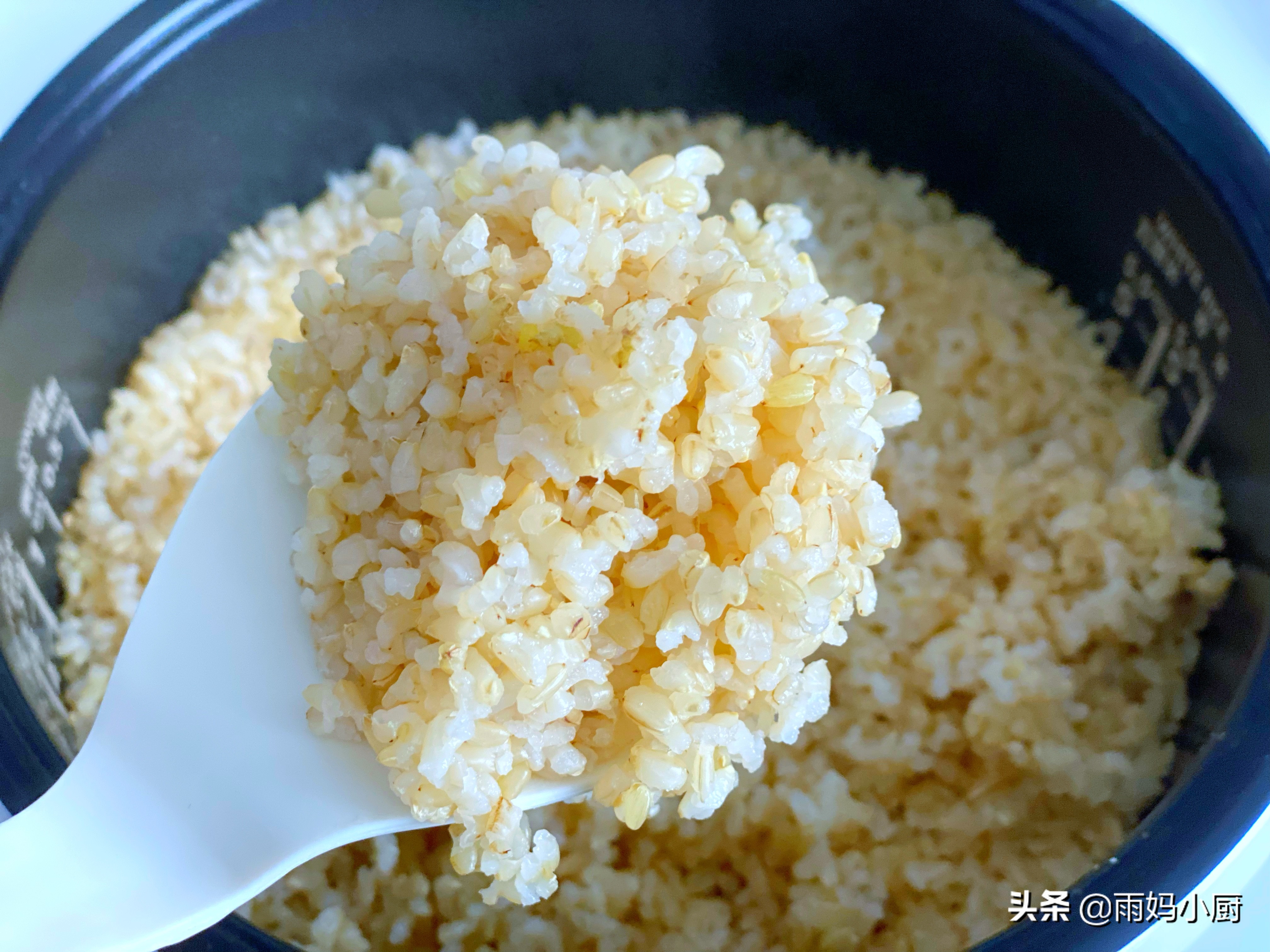 比白米还好吃的糙米饭,糙米饭软糯好吃