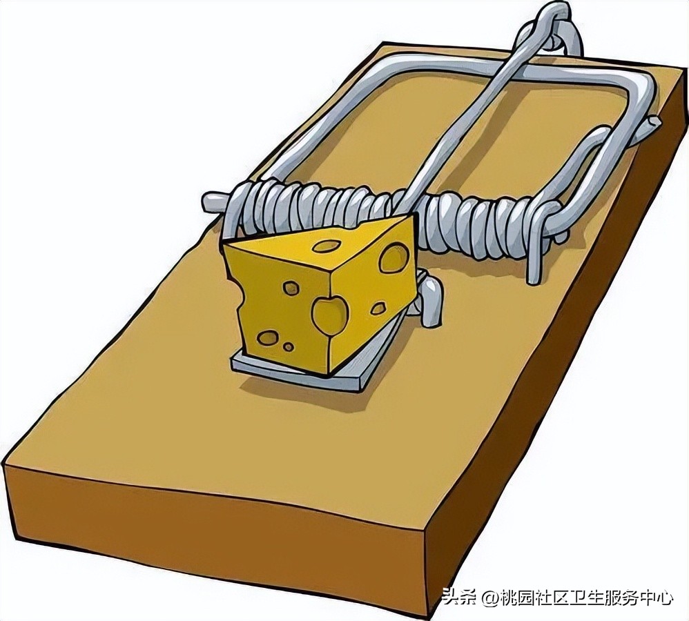 流行性出血热防治知识,传染病及其预防科普类视频