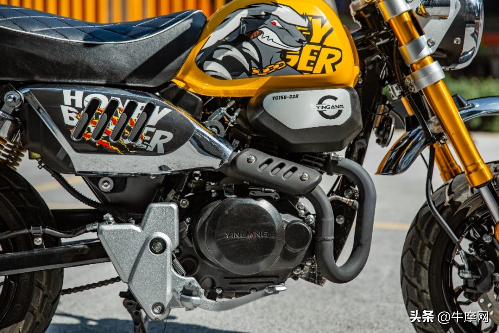 银钢150和蜜獾怎么选,平头哥蜜獾的战斗力有多强