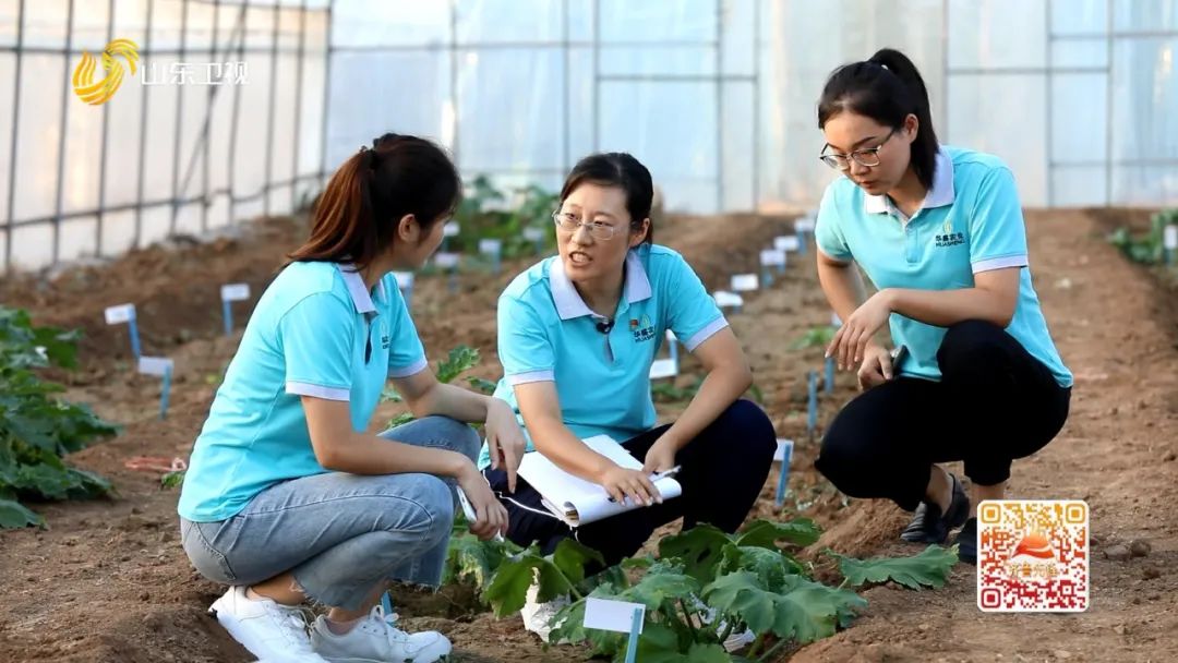 菜吧：80后女博士9年育出43个蔬菜新品种，占领高端市场，销海外
