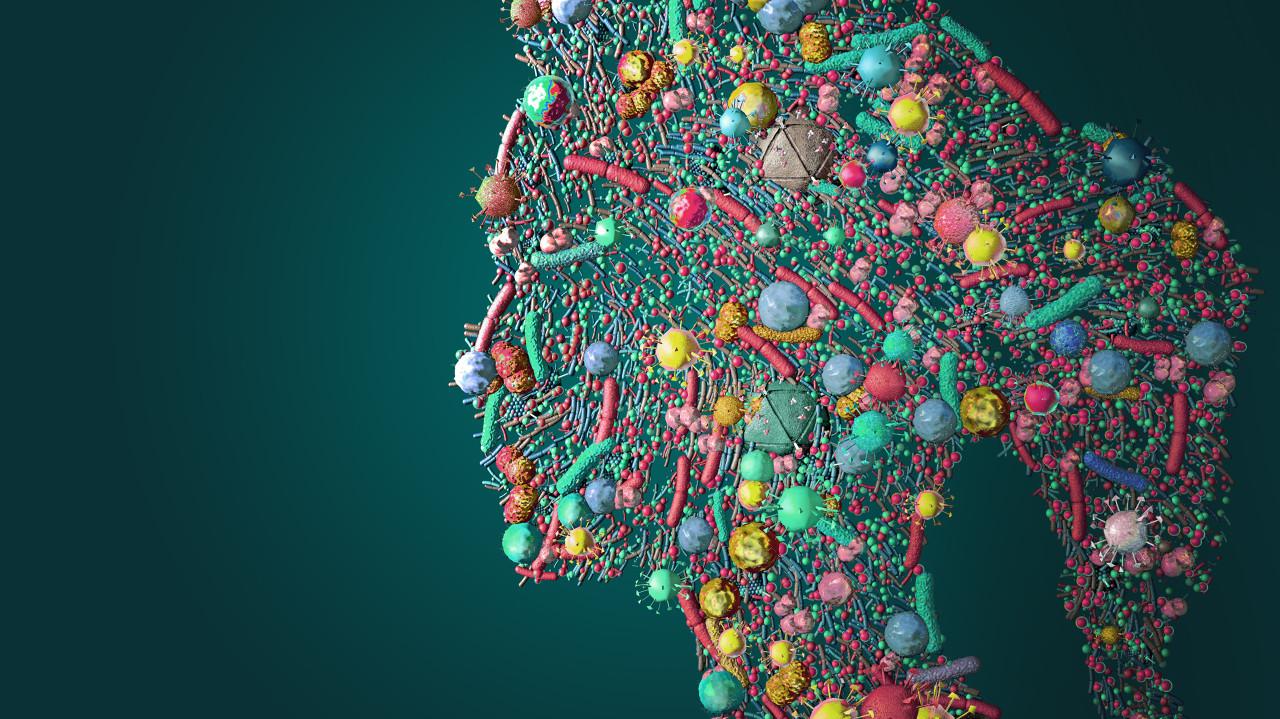 益生菌市场分析2023,益生菌市场环境和发展趋势