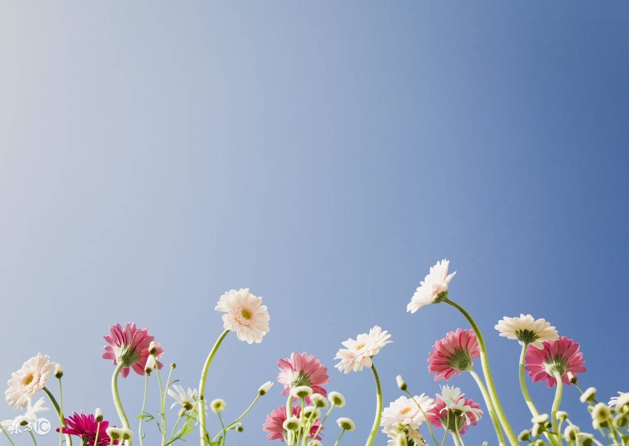 每个人承受的痛苦都是不一样的,每个人的痛苦都是不一样的