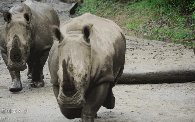 云南旅居最理想的避寒地方,云南适合旅居的小众古镇