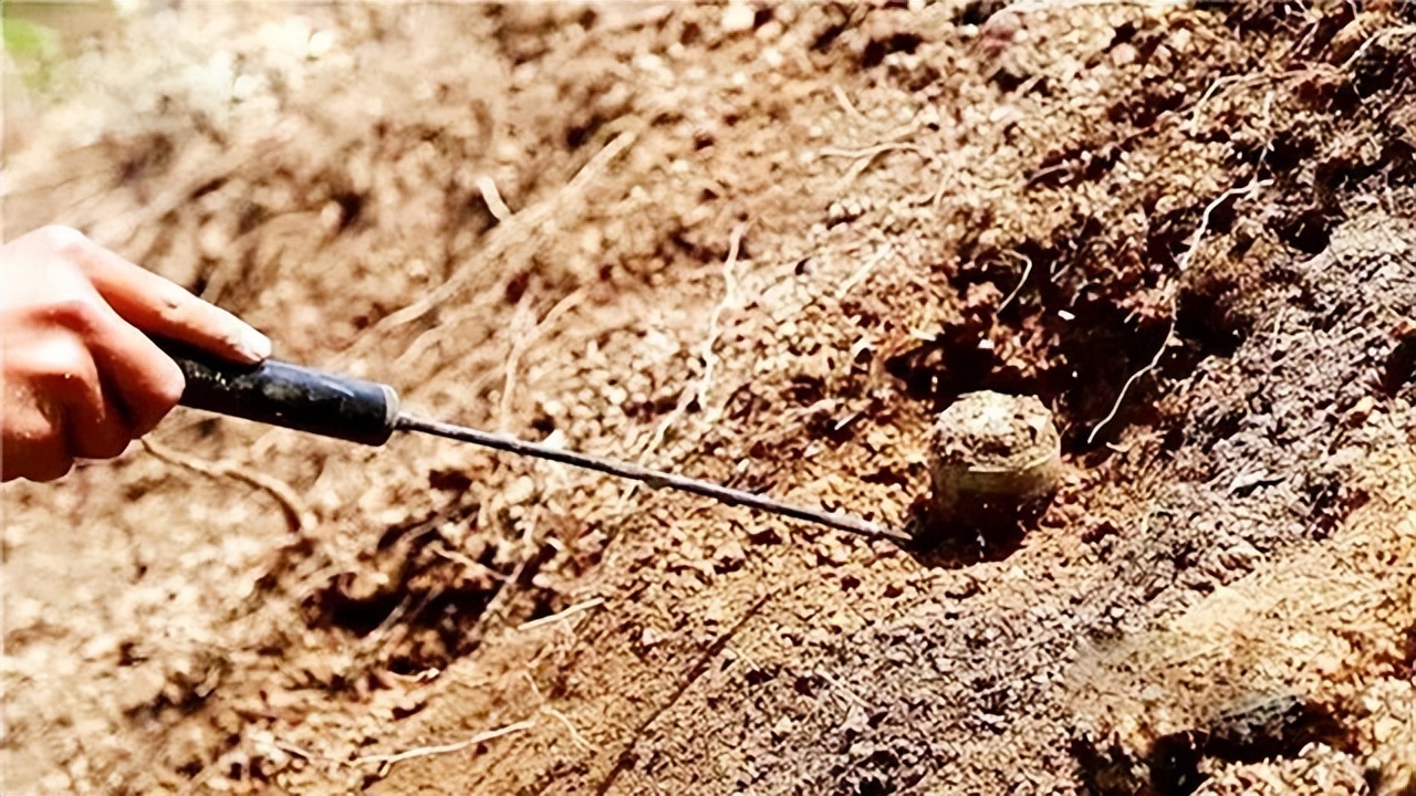 中国排雷英雄杜富国授勋仪式,排雷英雄杜富国八一勋章视频