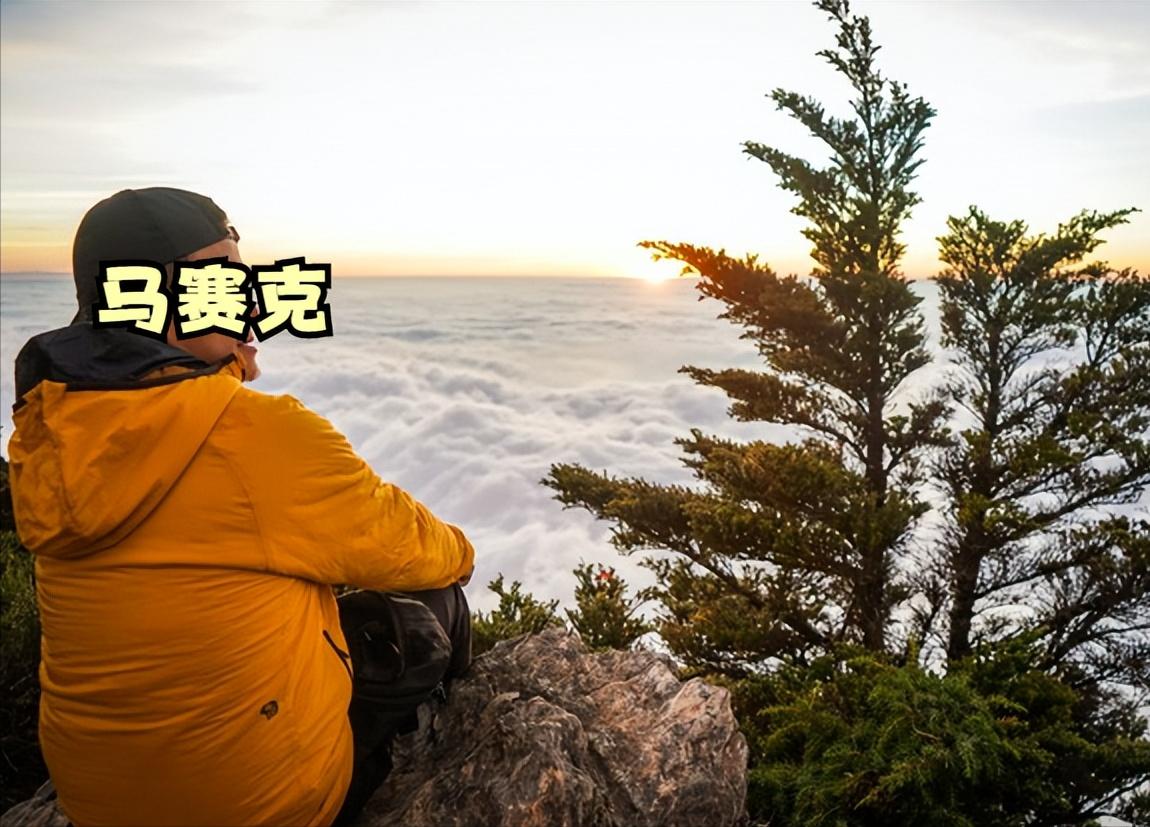 山系户外棉服推荐,始祖鸟和山浩哪个好