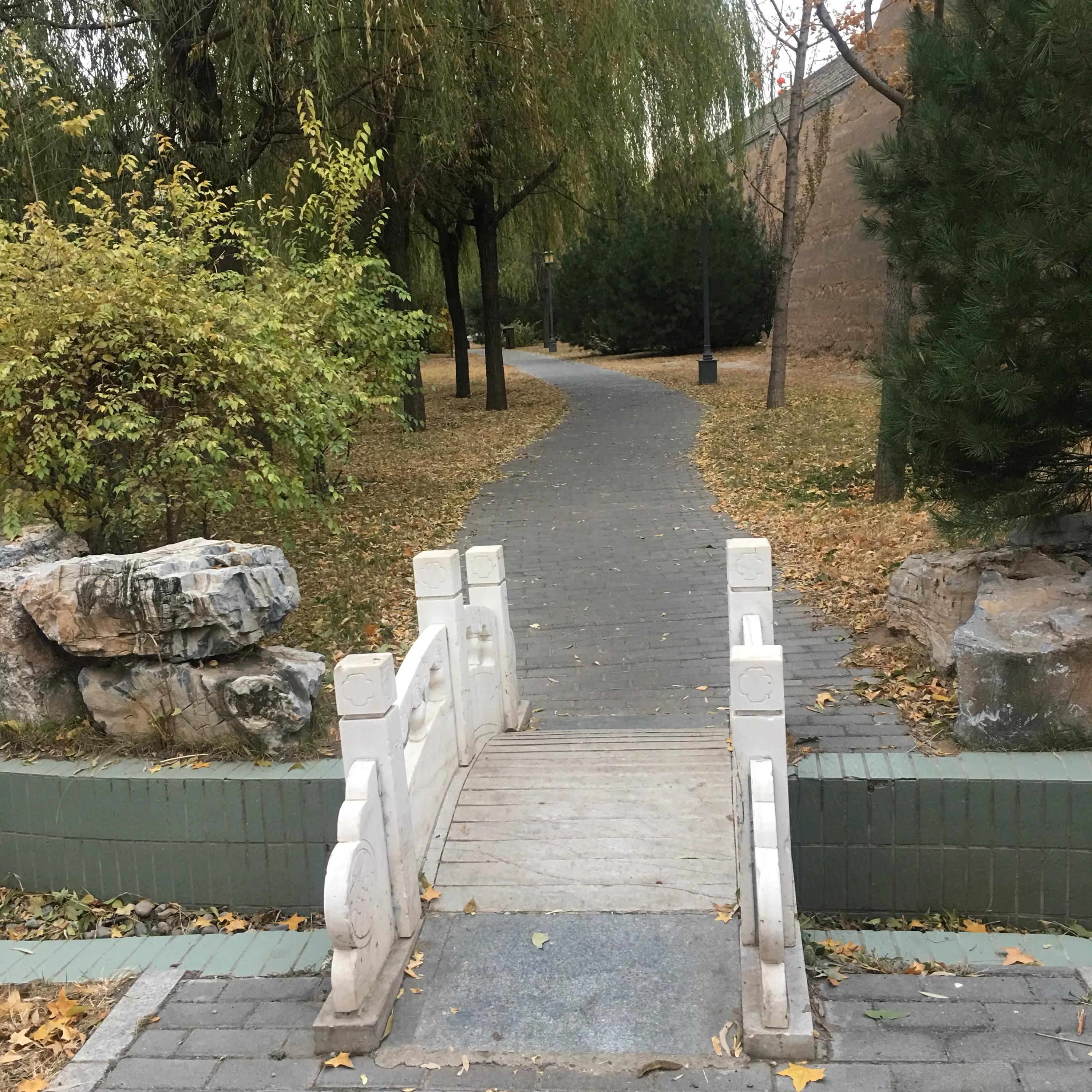 秋韵的祝福,秋韵中的快乐