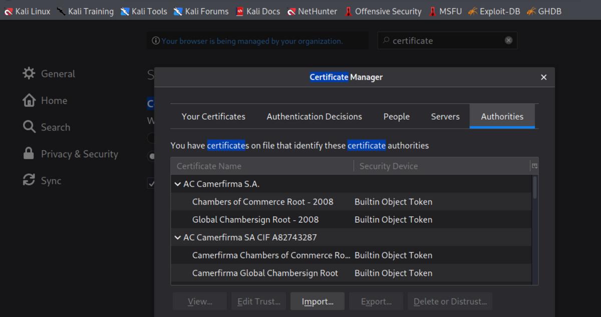 kali中burpsuite怎么汉化,kali里面自带burpsuite吗