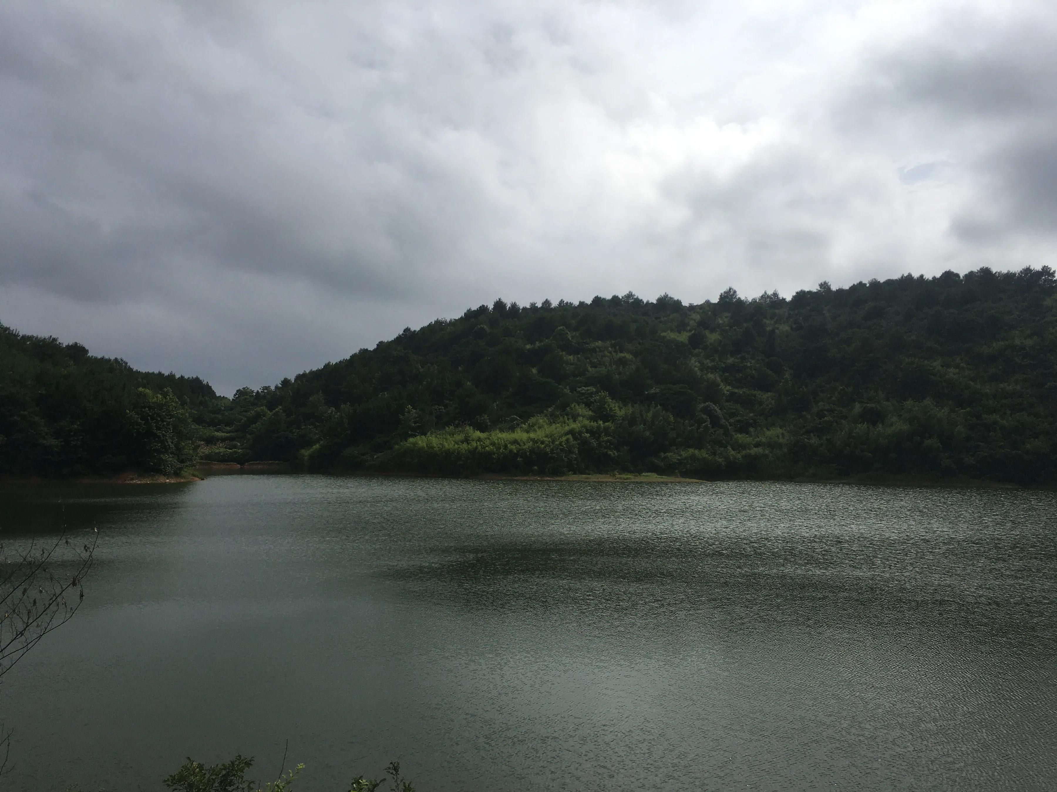 基金和股票什么时间买最好,买基金怎么选择卖最早买的股票