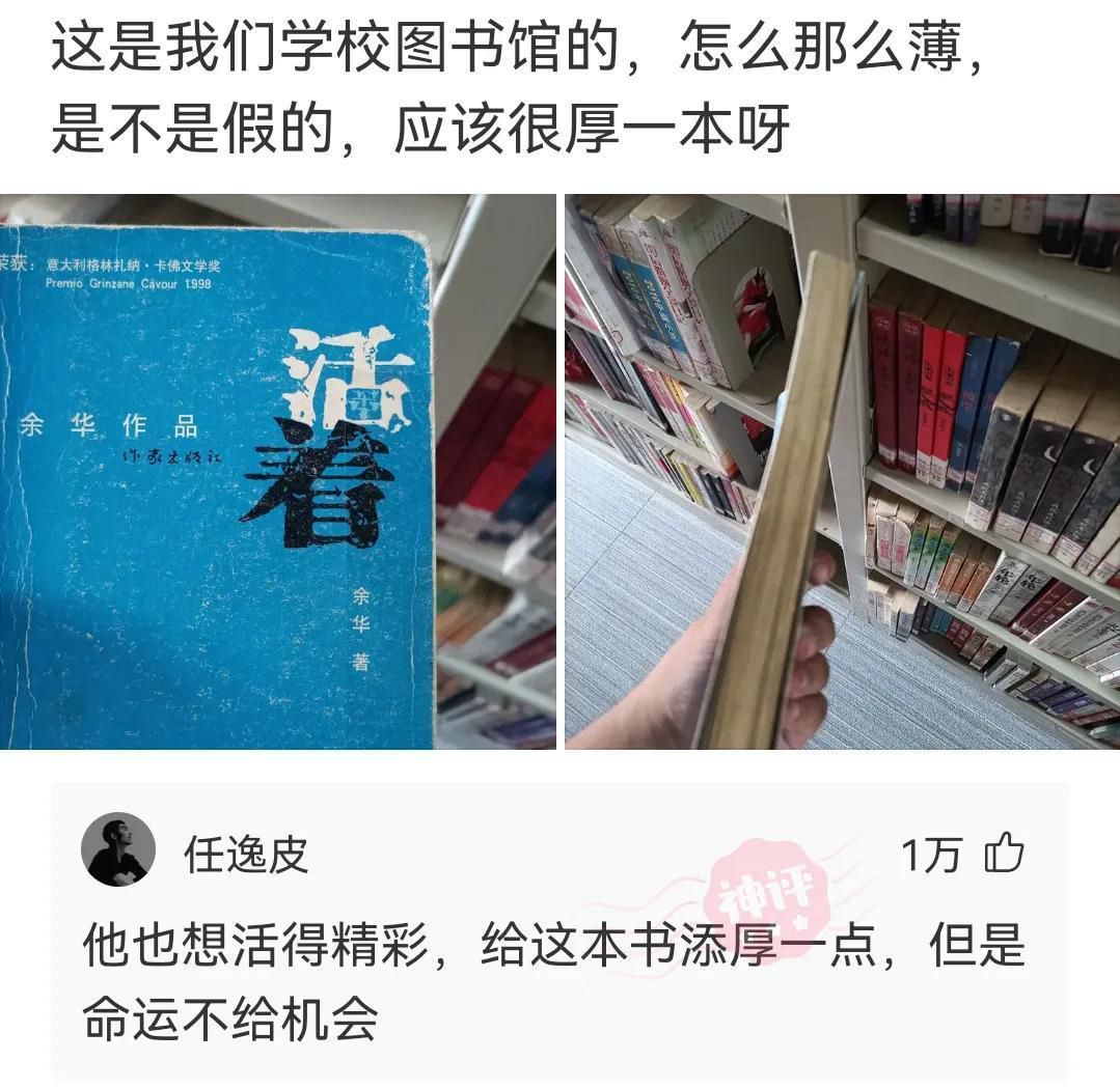 「盐选神回复」刚开始工作的你与现在的你