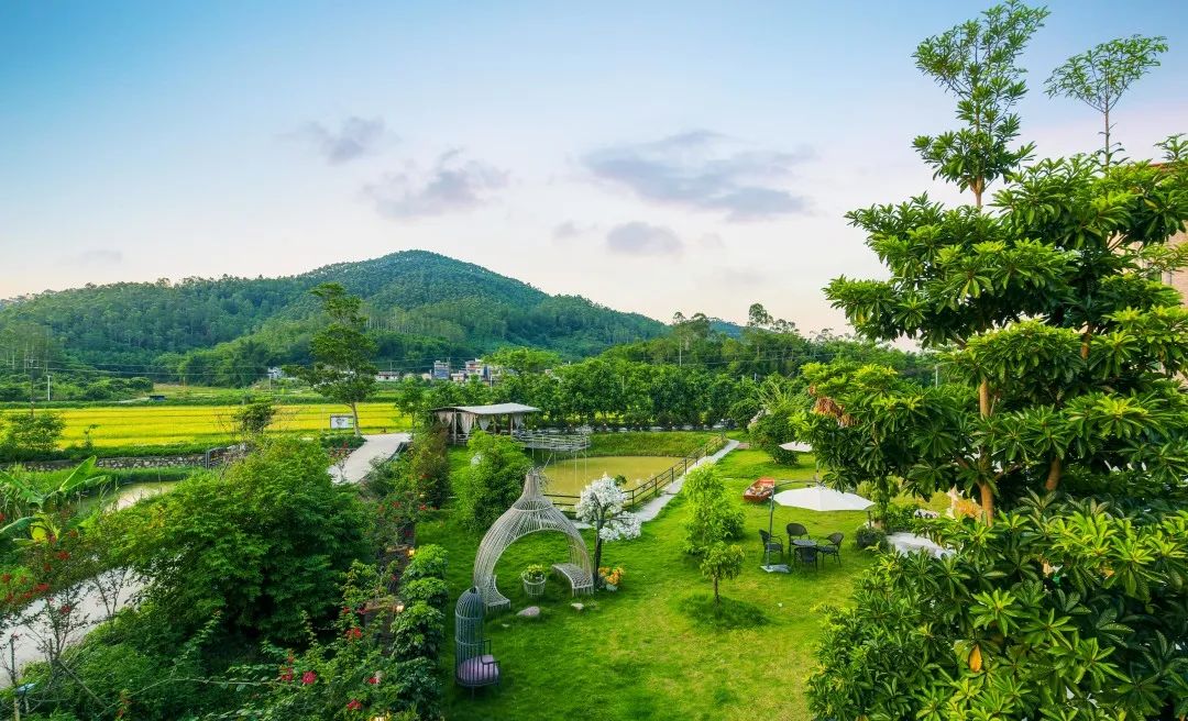 增城网红民宿别墅,增城最美花园亲子民宿