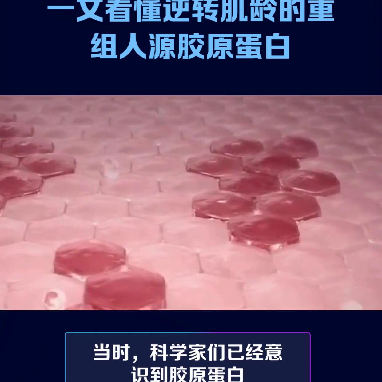 重组人源胶原蛋白怎么用,重组人源胶原蛋白能被皮肤吸收吗