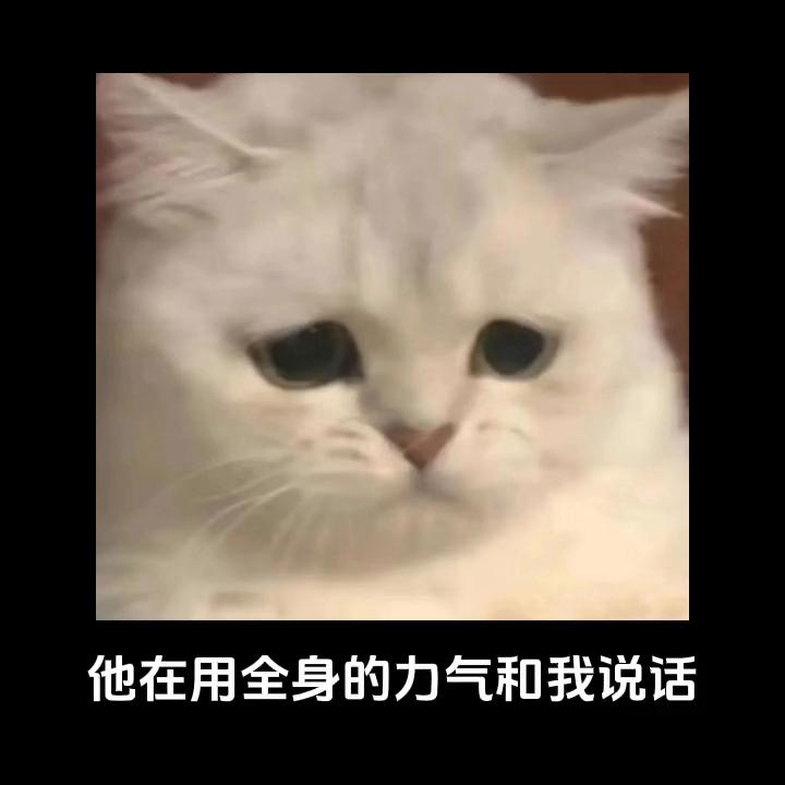 男朋友意外去世了，我要怎么才能见到他#情感