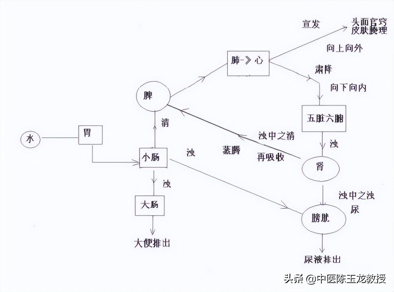 八正散加桂枝茯苓丸治疗前列腺炎,八正丸能治湿热瘀阻型前列腺炎