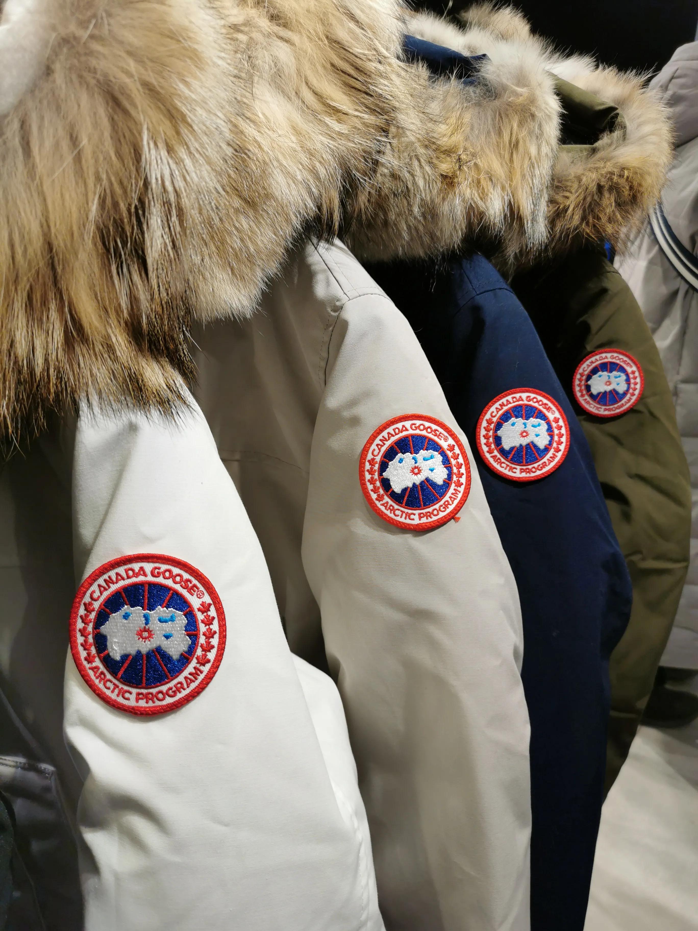 为什么有很多中国人买加拿大鹅,加拿大鹅中国是不是比加拿大贵