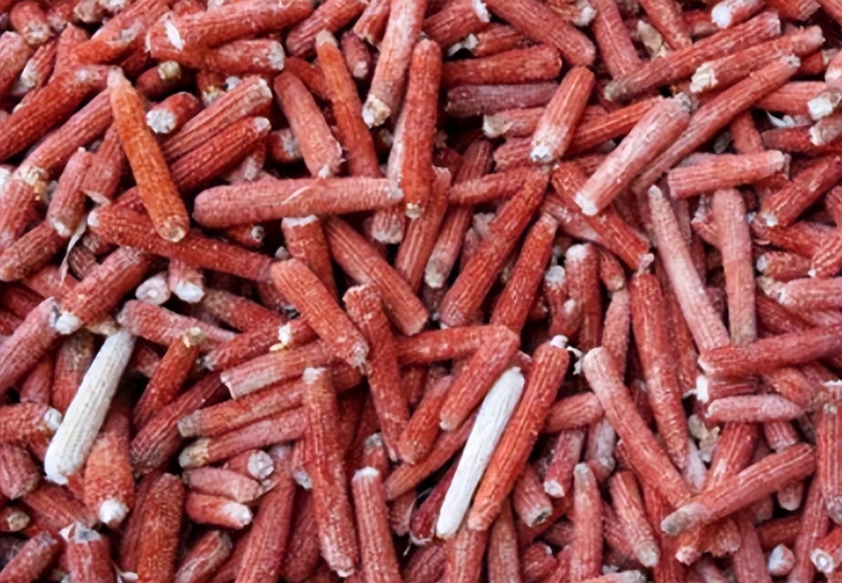 在农村做这4种生意很不错,农民回农村可以做什么生意