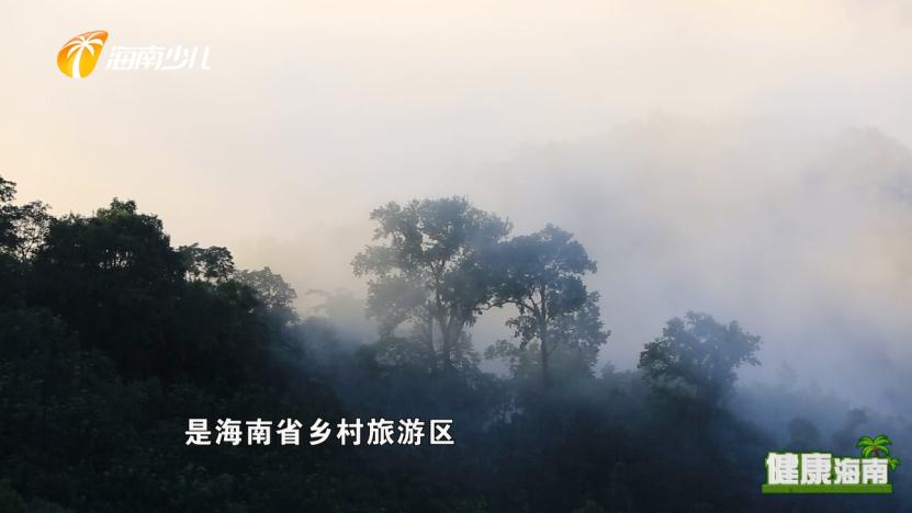 健康海南｜医疗护理师话说快乐健康去旅行！