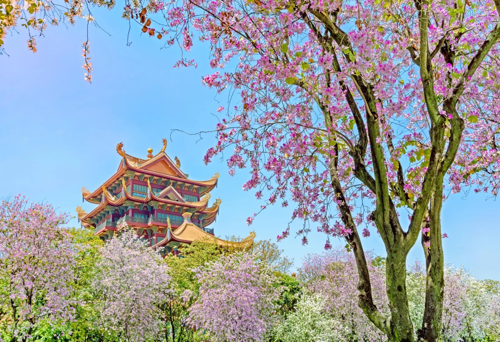 福建香火最旺的寺庙,福建十大古老寺庙