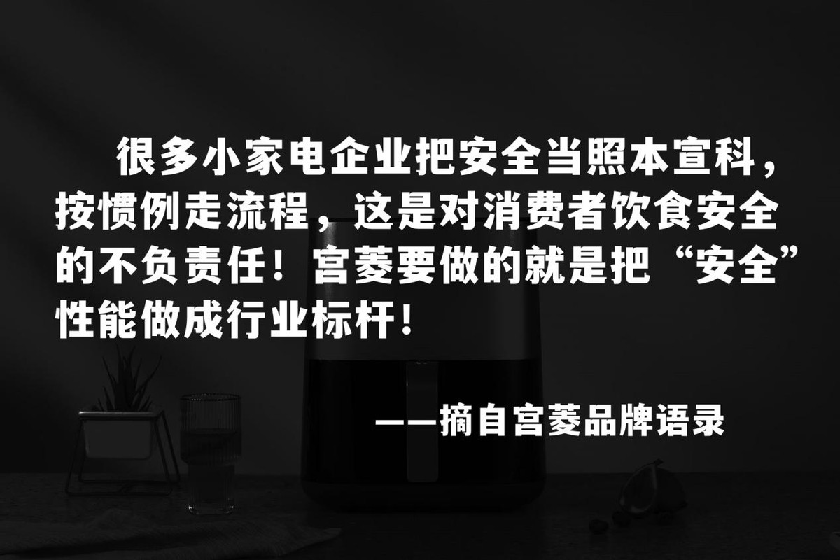 目前口碑最好的空气炸锅品牌排名,什么品牌的空气炸锅好性价比更高