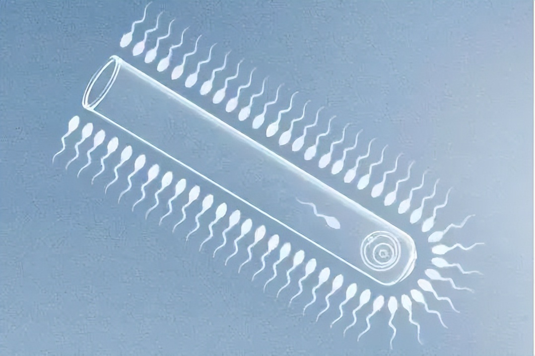 东北女生花50万试管婴儿,吉林女孩嫁国外回家生儿子