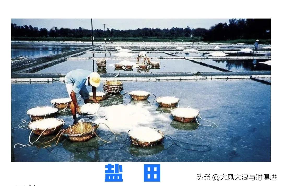 温州的历史经典故事,温州各地名趣闻