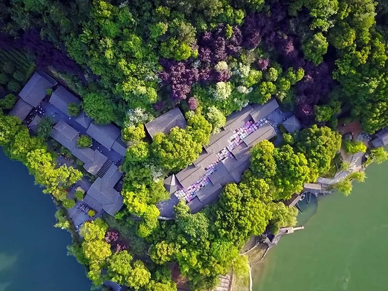 南山竹海御水温泉竹溪谷酒店,御水温泉竹溪谷酒店赏竹