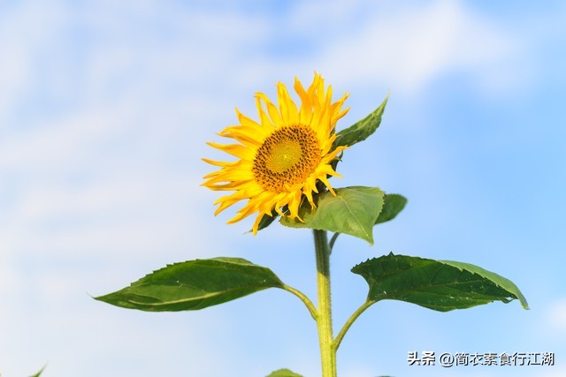 她做保姆这些年－豪门生活之各显身手（567）