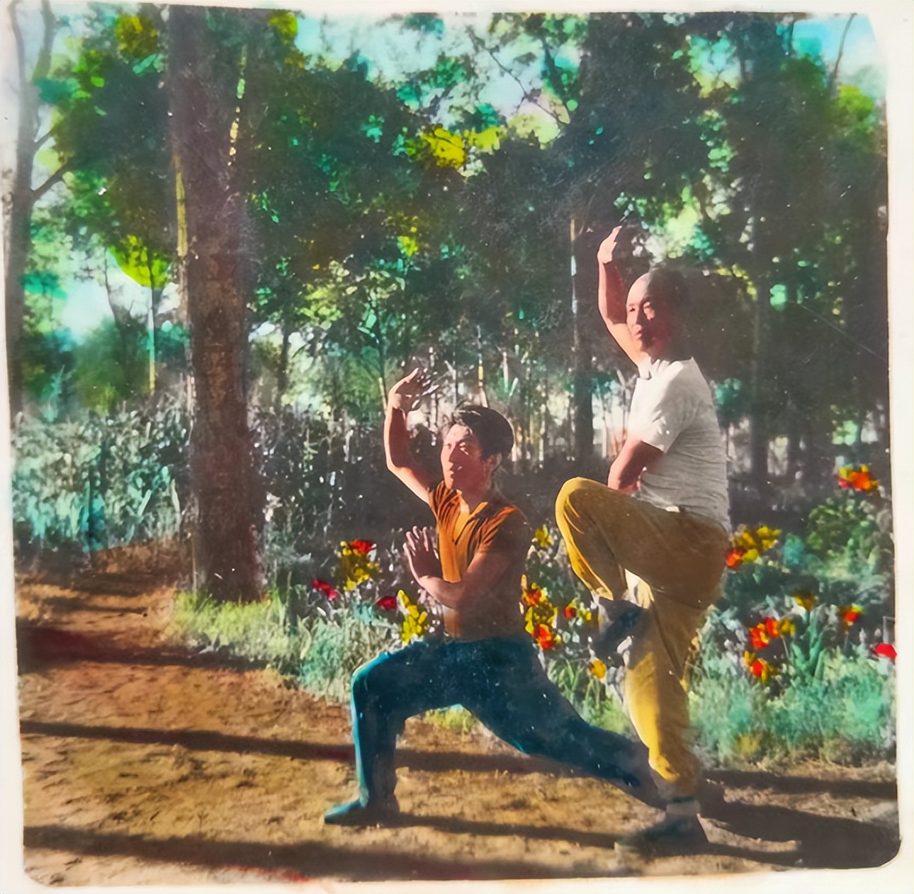 虎林广场美景,虎林老照片老广场